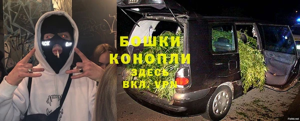 амф Мегион