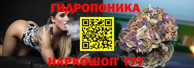 молекула духа Пенза