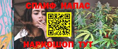 молекула духа Пенза