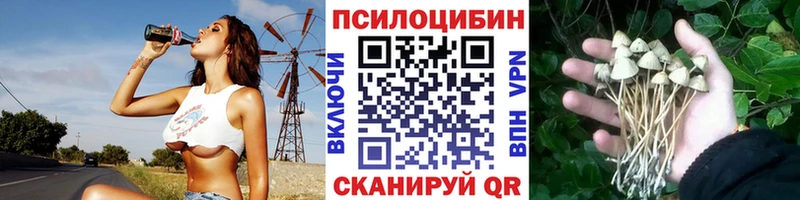 МЕГА   Чапаевск  Галлюциногенные грибы Magic Shrooms  купить закладку 