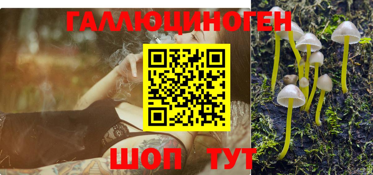 Псилоцибиновые грибы прущие грибы  Вход с VPN  продажа наркотиков  Чапаевск 