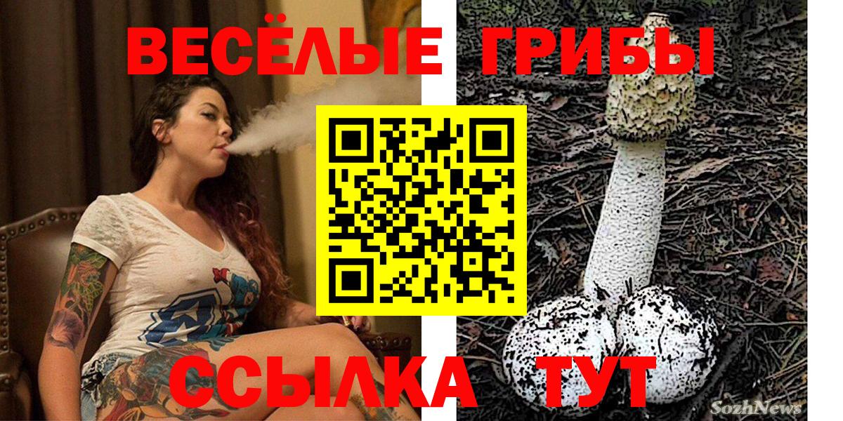 Псилоцибиновые грибы мицелий Чапаевск